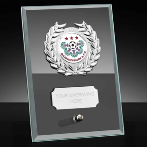 Plate Engraved Glass