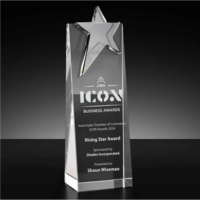 Star & Achievement Crystal Awards